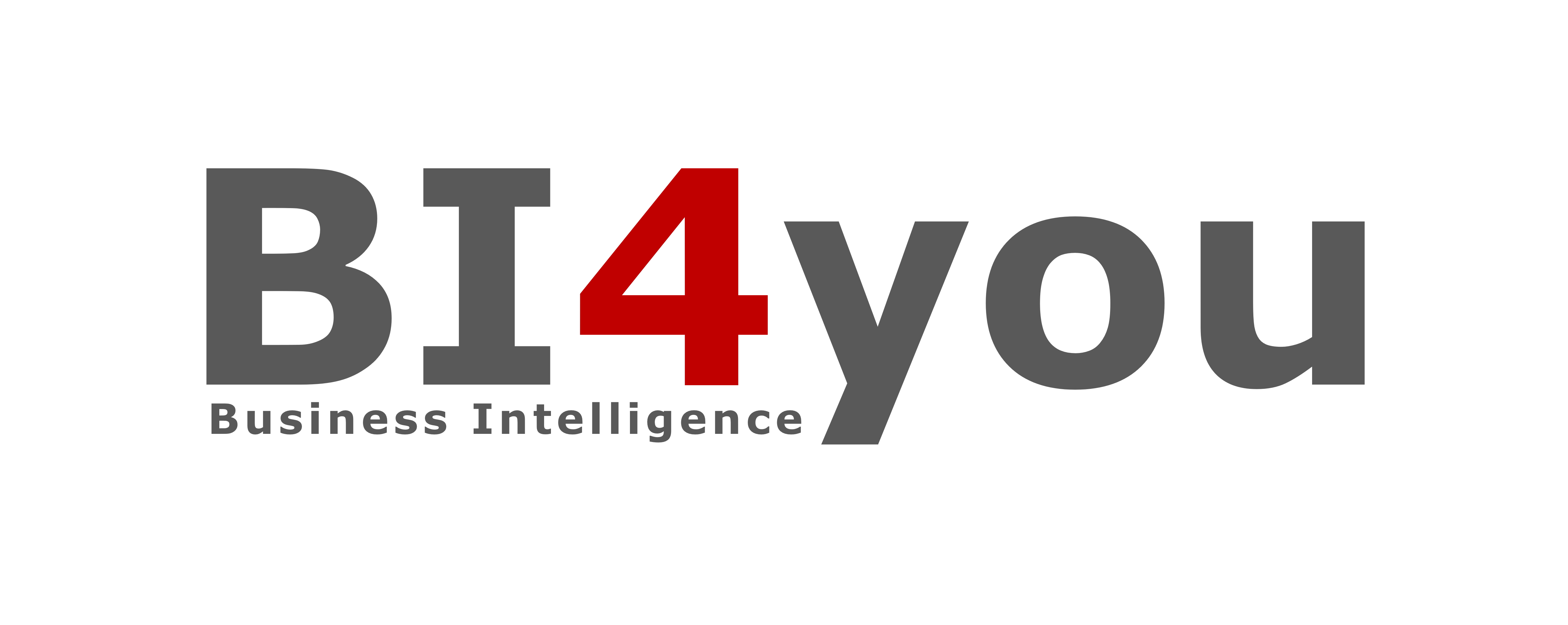 BI4you Logo – Business Intelligence